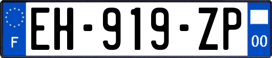 EH-919-ZP