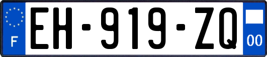 EH-919-ZQ