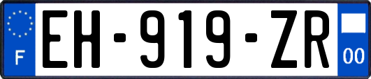 EH-919-ZR