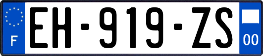 EH-919-ZS