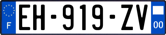 EH-919-ZV