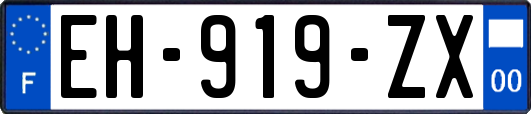 EH-919-ZX