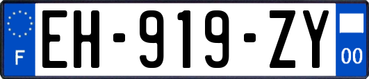EH-919-ZY