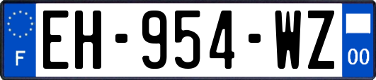 EH-954-WZ