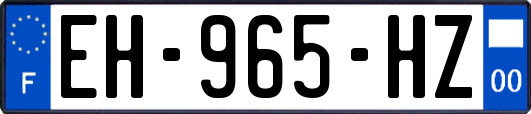EH-965-HZ