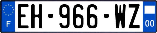 EH-966-WZ