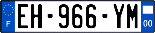 EH-966-YM