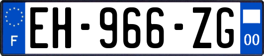 EH-966-ZG