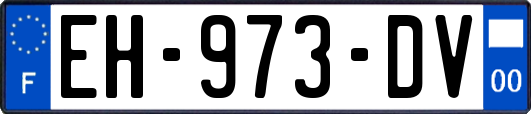 EH-973-DV