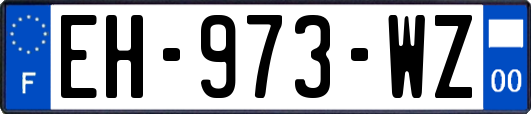 EH-973-WZ