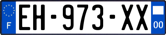 EH-973-XX