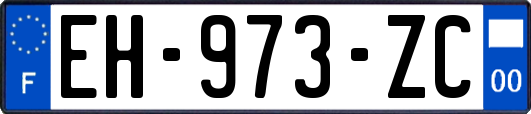 EH-973-ZC