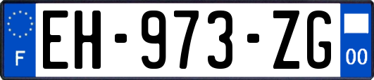 EH-973-ZG