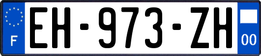 EH-973-ZH