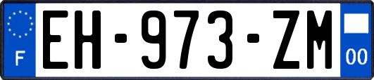 EH-973-ZM