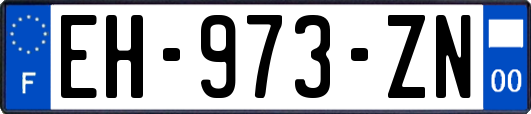 EH-973-ZN