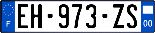 EH-973-ZS