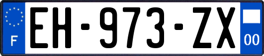 EH-973-ZX
