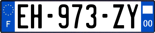 EH-973-ZY
