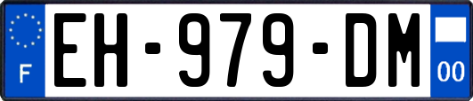 EH-979-DM