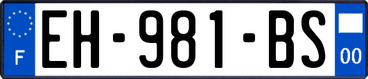EH-981-BS