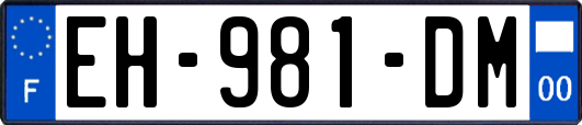 EH-981-DM