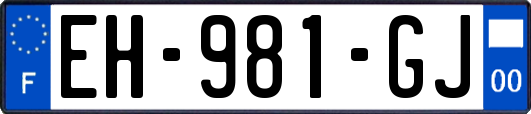 EH-981-GJ