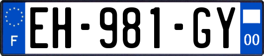 EH-981-GY
