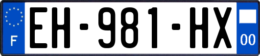 EH-981-HX