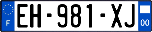 EH-981-XJ