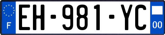 EH-981-YC