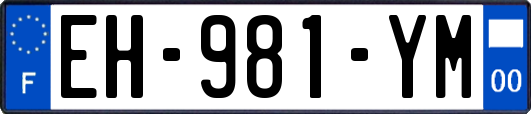 EH-981-YM