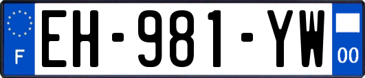 EH-981-YW