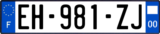 EH-981-ZJ