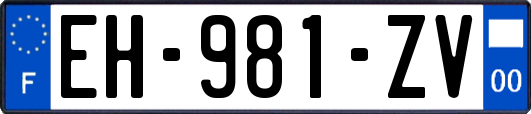 EH-981-ZV