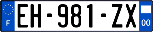 EH-981-ZX