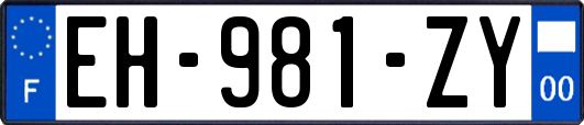 EH-981-ZY
