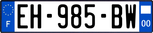 EH-985-BW