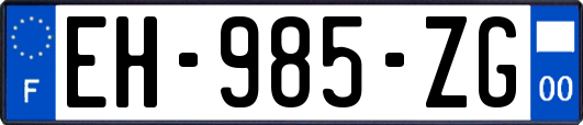 EH-985-ZG