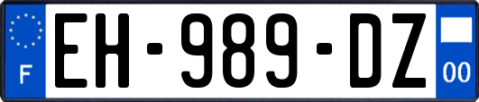 EH-989-DZ