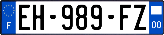 EH-989-FZ