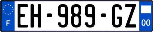 EH-989-GZ