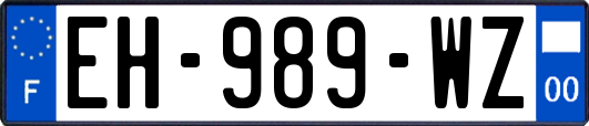 EH-989-WZ