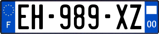 EH-989-XZ