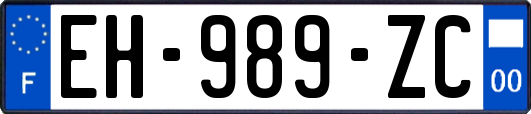 EH-989-ZC