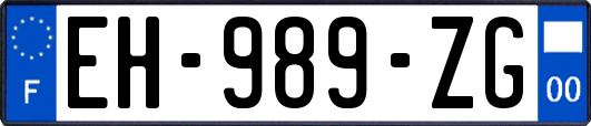 EH-989-ZG