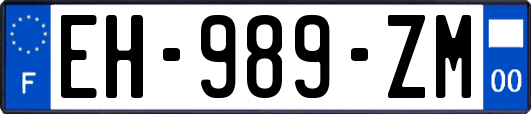 EH-989-ZM