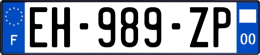 EH-989-ZP