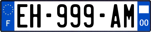 EH-999-AM