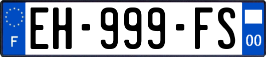 EH-999-FS